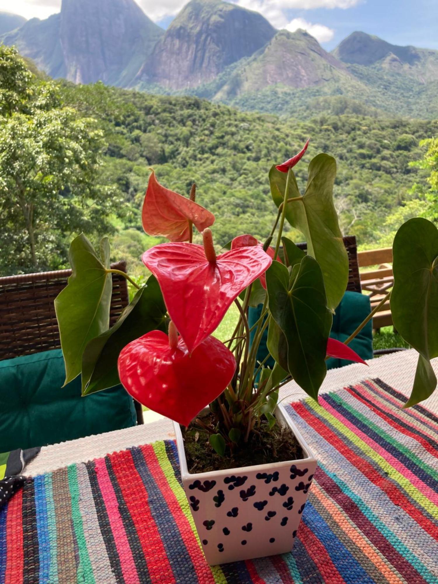 A Cabana Mais Bucolica De Araras Petrópolis Exteriör bild